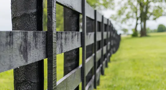 Painting Fences