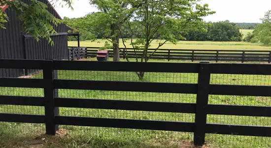 Fence Painting