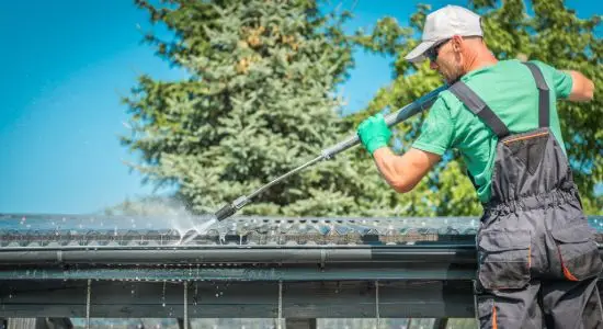 Roof cleaning